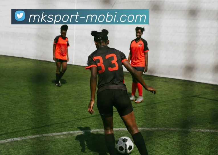 多媒体互动体验