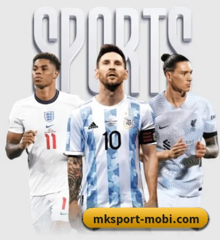 MK体育 APP - mksports